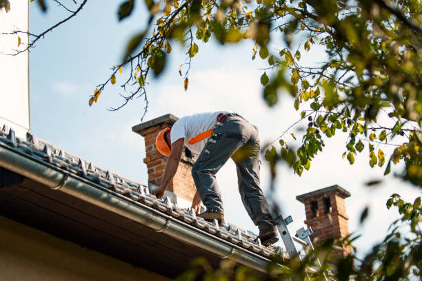 Best Flat Roof Repair Services  in Euclid, OH